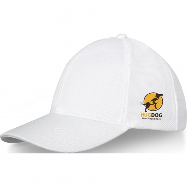 Logotrade werbemittel das Foto: Drake Trucker Kappe mit 6 Segmenten