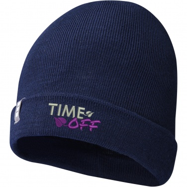 Logotrade corporate gifts photo of: Hale Polylana® beanie