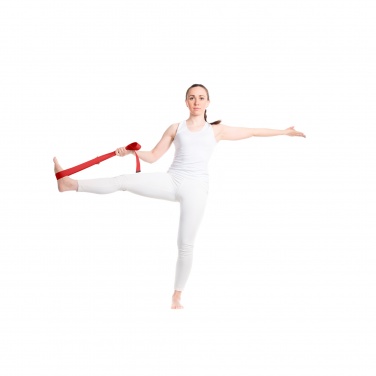 Logo trade corporate gifts picture of: Virabha RPET yoga strap