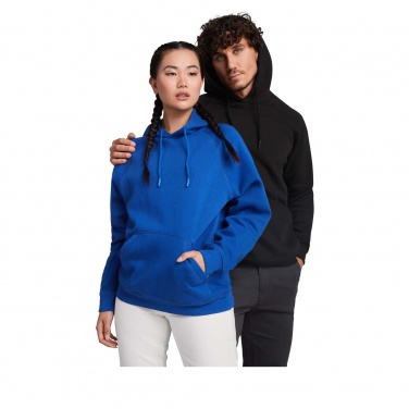 Logotrade promotional merchandise picture of: Vinson unisex hoodie