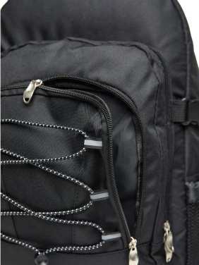 Logotrade promotional merchandise picture of: VINGA Parks cooler backpack