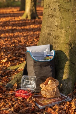 Logo trade advertising products picture of: Explorer outdoor cooler backpack