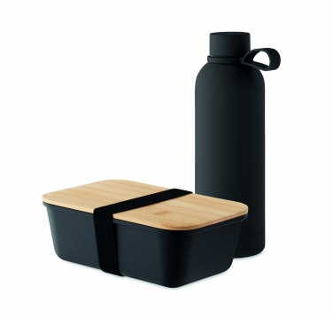 Logo trade promotional gifts image of: Lunch box bottle gift set