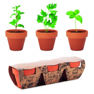 Logo trade promotional product photo of: Terracotta 3 herb pot set