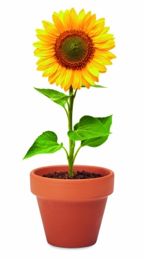 Logotrade advertising products photo of: Terracotta pot 'sunflower'