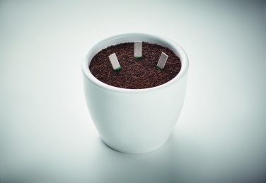 Logo trade promotional merchandise photo of: Herb seeds sticks