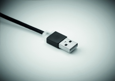 Logotrade business gift image of: key ring with USB type C cable Salaspils