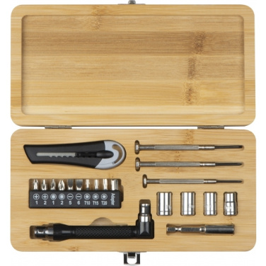 Logotrade promotional merchandise image of: 22-piece tool set BERINGEN