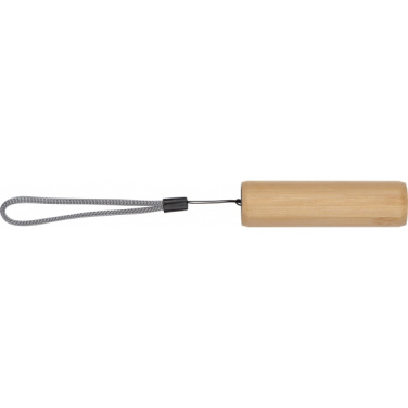 Logo trade promotional items image of: Torch DUNDEE