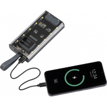 Logo trade promotional giveaway photo of: Power bank 10 000 mAh DARWIN