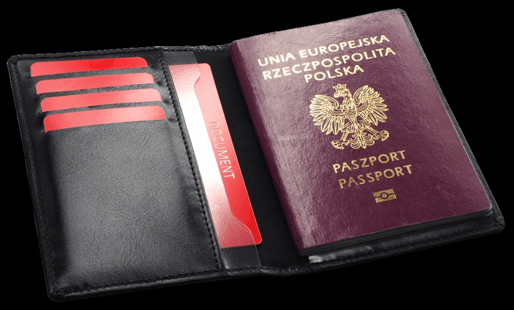 Logotrade corporate gift image of: RFID passport case 1301131