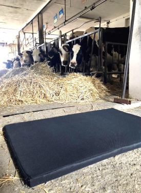 Logotrade promotional gift image of: Disinfection mat 100x90x3cm 1371087