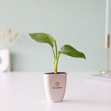 Logotrade advertising products photo of: Treemore Letterbox Trees Bird of Paradise plant