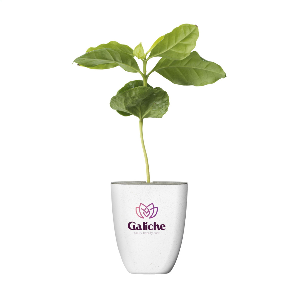 Logo trade corporate gifts image of: Treemore Letterbox Trees Coffee