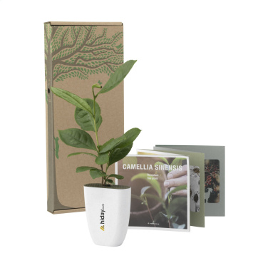 Logotrade promotional giveaway image of: Treemore Letterbox Trees Tea plant