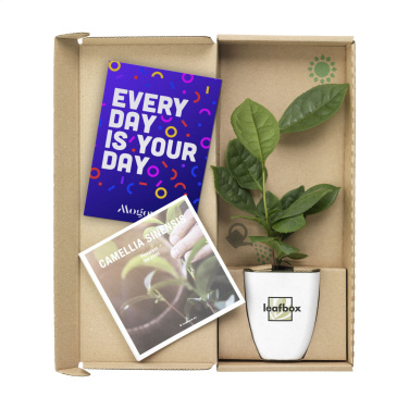 Logotrade promotional giveaway image of: Treemore Letterbox Trees Tea plant
