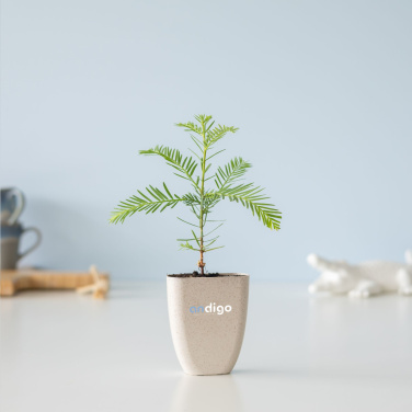 Logo trade corporate gifts picture of: Treemore Letterbox Trees Giant Sequoia