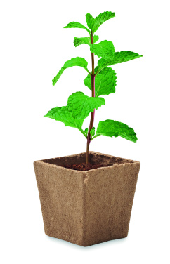 Logotrade promotional giveaway image of: Mint seeds growing kit