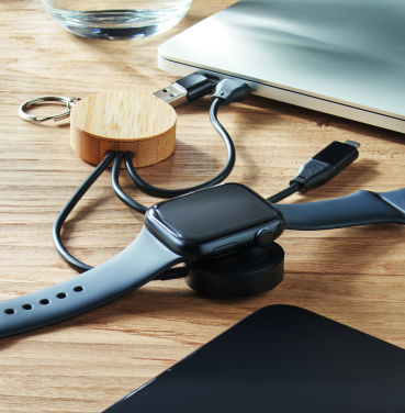 Logo trade promotional products image of: Key ring with 4 in 1 60W cable