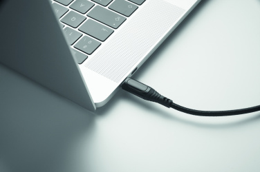 Logotrade promotional giveaways photo of: 100W charging cable type-C