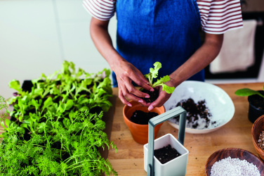 Logotrade promotional product picture of: Indoor garden with LED light