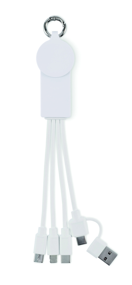 Logo trade promotional merchandise picture of: 2 in 1 charging cable type-C