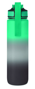 Logotrade promotional giveaway picture of: Sports water bottle RPET 1L