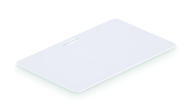 Logotrade promotional gifts photo of: Lanyard badge 54 x 86mm