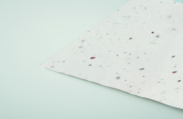 Logo trade advertising products picture of: Wildflower seed business card.