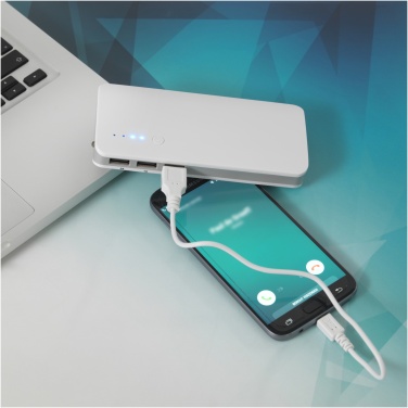 Logotrade reklaamkingituse foto: Varu 10 000 mAh akupank