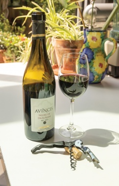 Logotrade reklaamkingid pilt: Vino Waiters korgitser