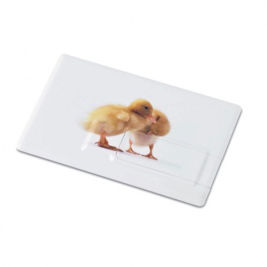Logotrade ärikingid pilt: Krediitkaart. USB-välkmälu 32GB