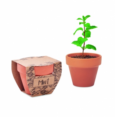 Logotrade reklaamkingid pilt: Terrakota potti piparmündiseemned