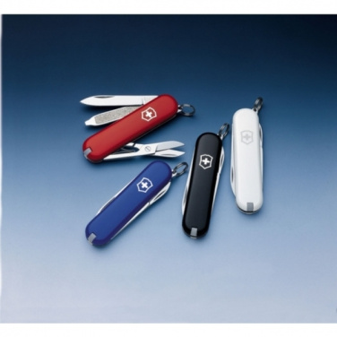 Logotrade reklaamkingi foto: Taskunuga Escort Victorinox