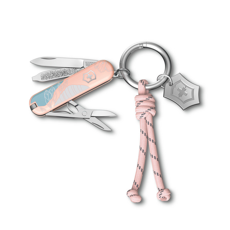 Logo trade firmakingi pilt: Victorinox taskunuga Classic SD, 58 mm, Celidor, Paris Style