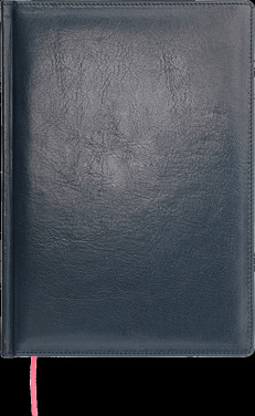 Logo trade ärikingituse pilt: Kalendermärkmik 642131