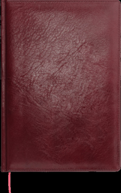 Logotrade reklaamkingid pilt: Kalendermärkmik 645131