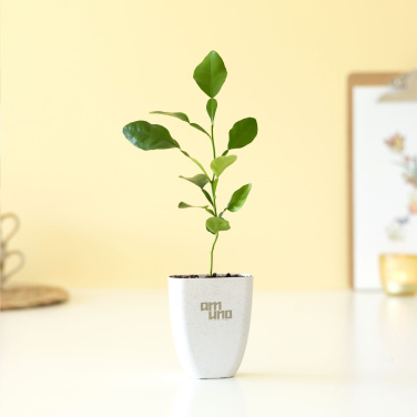 Logo trade reklaamtoote pilt: Treemore Letterbox Trees Kaffir Lemon