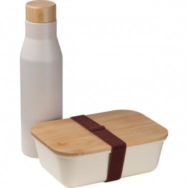 Logotrade ärikingitused pilt: Komplekt Lunchbox koos roostevabast terasest pudeliga Toronto