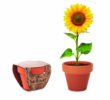 Logo trade liikelahja mainoslahja tuotekuva: Terracotta ruukku