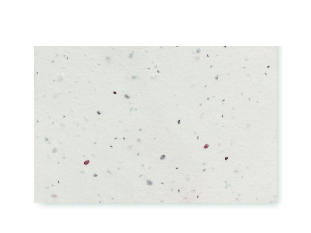 Логотрейд pекламные продукты картинка: Wildflower seed business card.